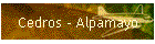 Cedros - Alpamayo